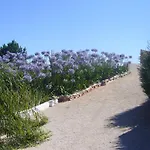 Casa Palmeira