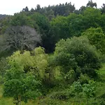 Guest house Casa Palmeira 3*