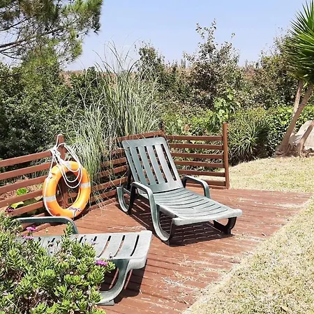 Guest house Casa Vila Palmeira *