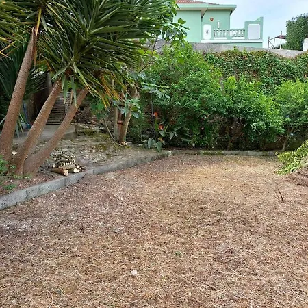 Casa Palmeira Affittacamere 3*