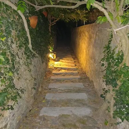 Casa Palmeira 招待所 3*