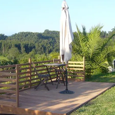 Guest house Casa Vila Palmeira *