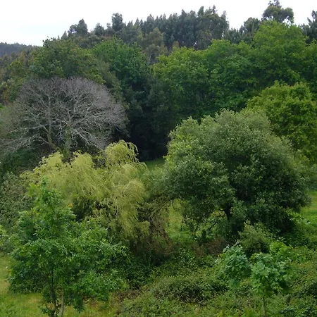 Affittacamere Casa Palmeira 3*