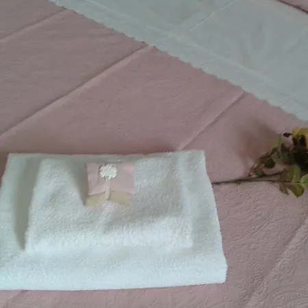 Affittacamere Casa Palmeira Fermela