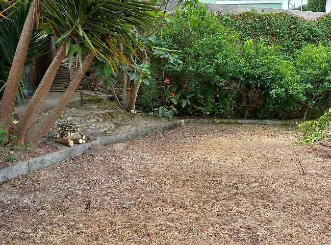 Casa Palmeira 招待所 3*