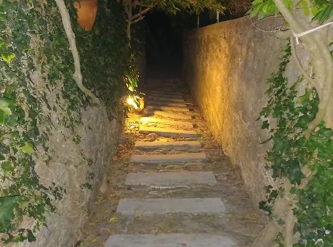 Casa Palmeira 招待所 3*