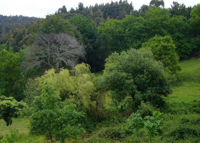 Gasthof Casa Palmeira 3*